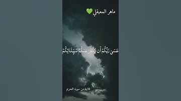 توبوا إلى الله توبة نصوحا ماهر المعيقلي تلاوة خاشعة #ماهر_المعيقلي #quran #explore #viral #trending