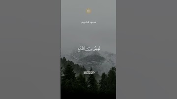 يَقُولُونَ رَبَّنَآ ءَامَنَّا فَٱكْتُبْنَا مَعَ ٱلشَّـٰهِدِينَ || سورة المائدة || سعود الشريم