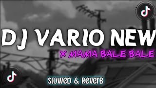 DJ VARIO NEW ‐ ( Slowed & Reverb) 🎧🎶