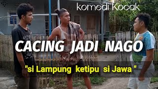 CACING JADI NAGO || komedi kocak ( si Lampung ketipu si Jawa )