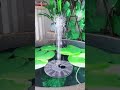 Video Image