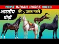 Top 5 indian horse breed  best indian horse breed  marwari horse  kathiyawadi horse