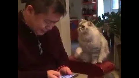 JEALOUS Pets