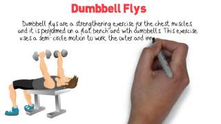 Chest Exercise - Dumbbell Flys