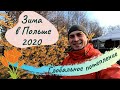 КАКАЯ ЗИМА В ПОЛЬШЕ? ZIMA W POLSCE 2020. ГЛОБАЛЬНОЕ ПОТЕПЛЕНИЕ 2020! ЖИЗНЬ И РАБОТА В ПОЛЬШЕ 2020.