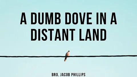 Tuesday PM - 12.20.22 - Bro. Jacob Phillips - " A ...