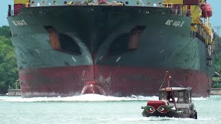 Giant Container Ships Turning on the River #shipspotting