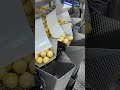 Rotary premade pouch nuts raisins fried snack rice crust weighing filling sealing packing machine
