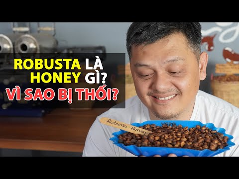 Video: Honey Spas Là Gì