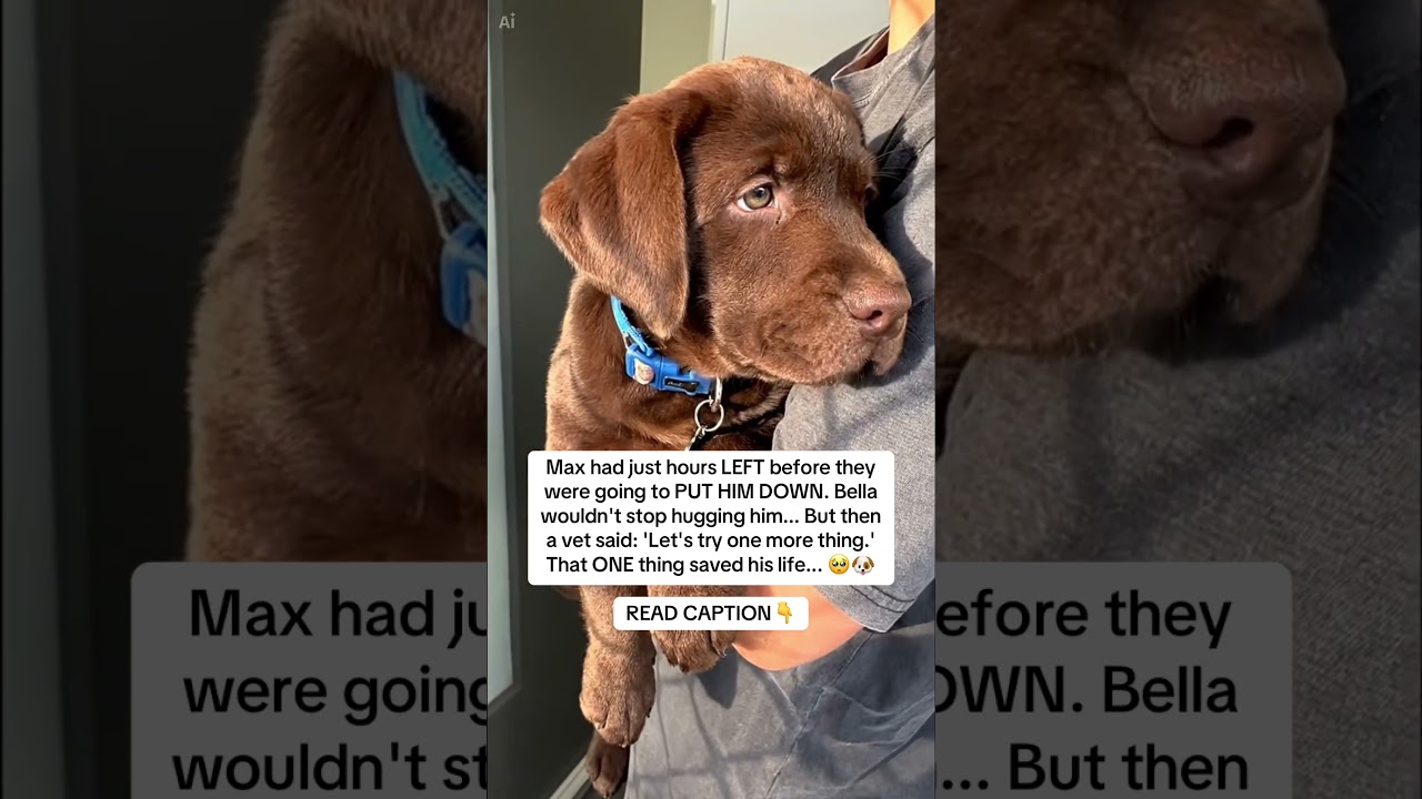 READ CAPTION 👇🏻