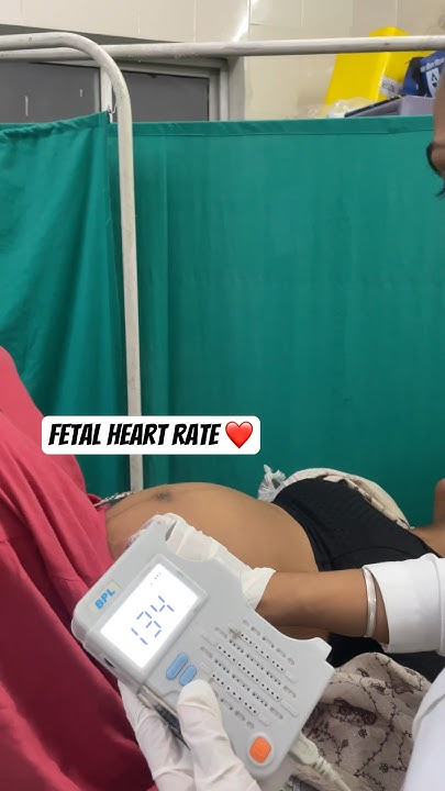 fetal-heart