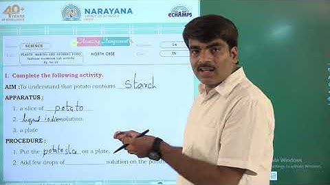 6TH AUG PAN INDIA CLASS 4 SCIENCE ASSIGNMENT 14 KEY