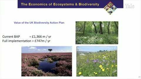 Highlights from Valuation Approaches & Paradigms Part 1: TEEB@YALE