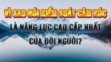 Vì sao nói: Kiểm soát cảm xúc là năng lực cao cấp nhất của con người? #trietlysong #doinhanxuthe