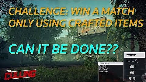 The Culling Challenge - Win a match with ONLY crafted items - Accepted!!