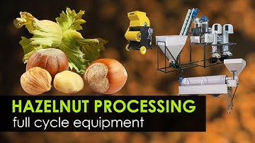 Equipment for hazelnut processing. From harvesting to sorting kernel. Processing line