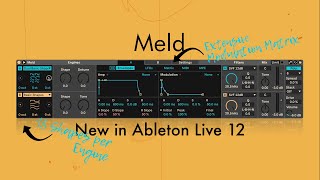New in Ableton Live 12: Meld Synthesizer