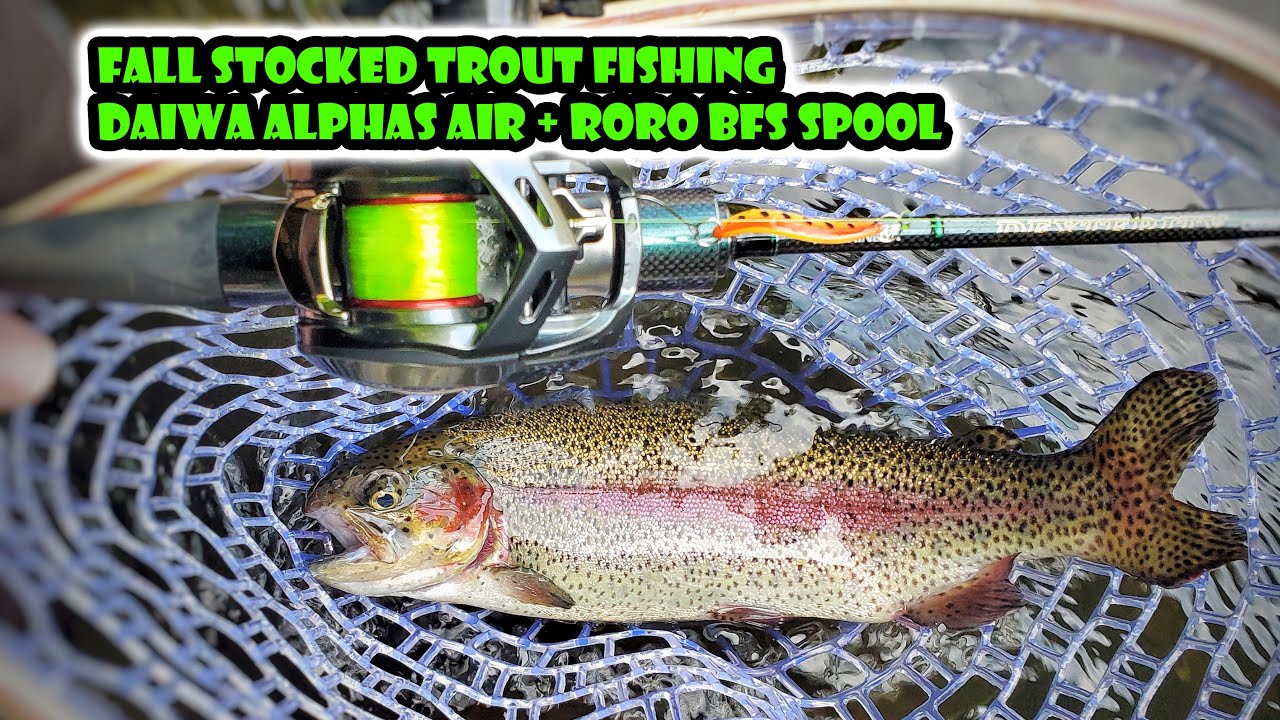New Jersey Fall Stocked Trout BFS Fishing Daiwa Alphas Air TW with