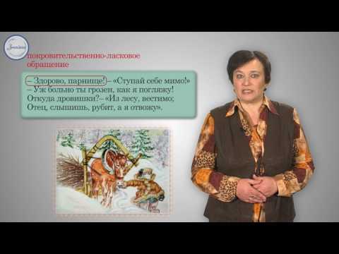 Русский 6 класс. Эмоционально окрашенные слова