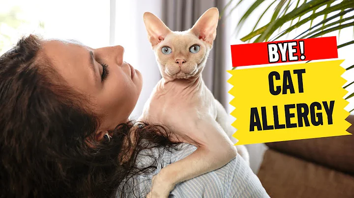 Video 10289701: cornish rex devon, cornish rex cat, siamese cat, siamese balinese, best cat breeds