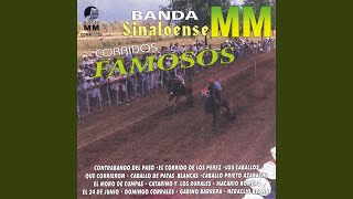 Video thumbnail of "Banda Sinaloense MM - Los Caballos Que Corrieron"