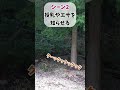 シーン別キツネの鳴き声!いくつ知ってる?