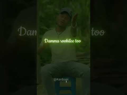 Damma Roobilee Gelana Garomsa Shorts Oromomusic Sirbaoromoo