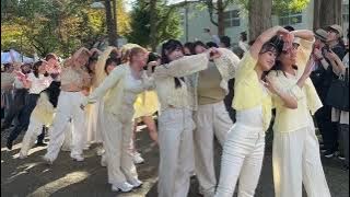 Download lagu 国際教養大学 大学祭'25 'VIVID' パレード - AIU Festival 'VIVID' PARADE 2025 By AIU Dance Club