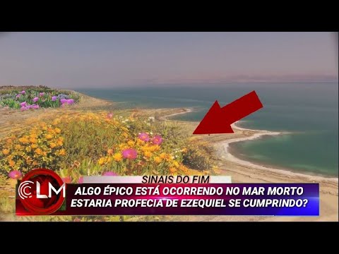 Vídeo: Ruínas No Fundo Do Mar Morto - Visão Alternativa