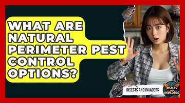 What Are Natural Perimeter Pest Control Options? - Insects and Invaders