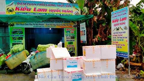 Đại lý phân phối giống tôm càng xanh Quốc Toản | 0856.79.6465 - 0947.98.6465