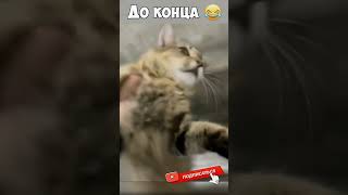 Смешные моменты🤣🤣Неудачные моменты🤣🤣#юмор #смех #fun #jokes #приколы