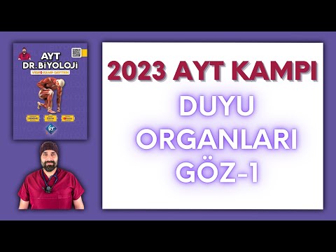 Duyu organları - Göz-1 AYT Biyoloji Kampı Konu Anlatımı/ 11.Sınıf 2024 Tayfa