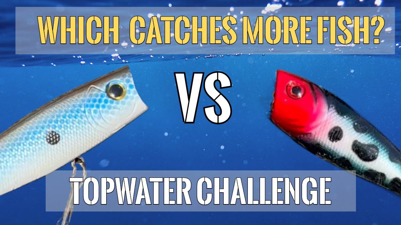 Topwater Challenge!!! Which Popper Catches More Fish?