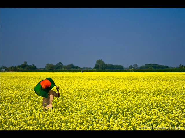 Watch Bangladesh-Triloy on YouTube Watch Bangladesh-Triloy on YouTube