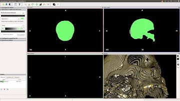 A fake CT-Scan of a 3D mesh scanned with PPT GUI