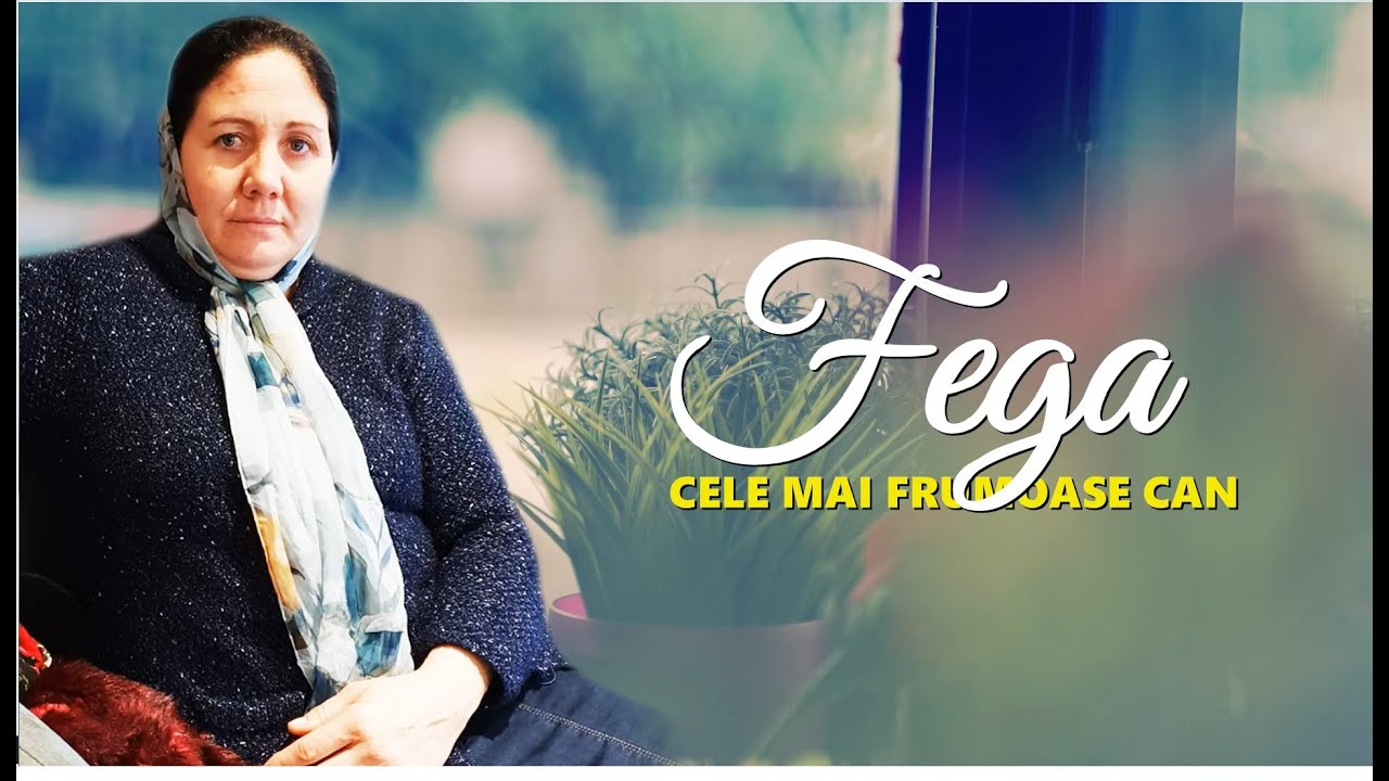 SORA FEGA  //  CELE MAI FRUMOASE CANTARI  // COLAJ