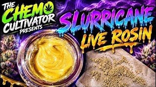 🔥 SLURRICANE BUBBLE HASH → LIVE ROSIN 🔥