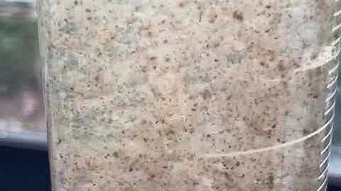 aerobic granular sludge