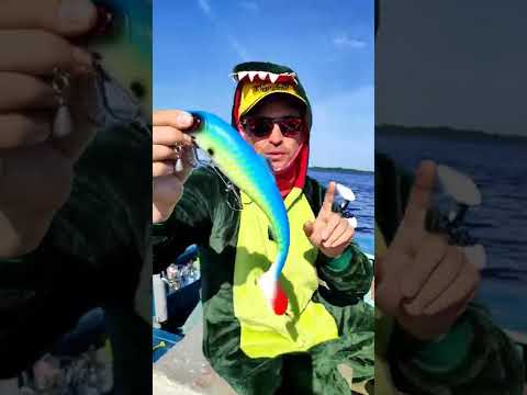 приманка на окуня