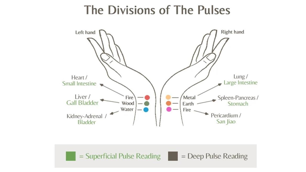 PULSE DIAGNOSIS INTRODUCTION