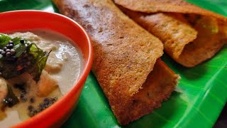 குதிரைவாலி அடை / Millet Adai / Barnyard millet Recipe in Tamil/ Instant Millet Dosa