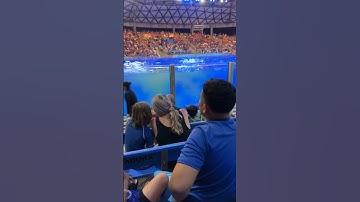 SeaWorld spectators sprayed by ‘poo-nami’