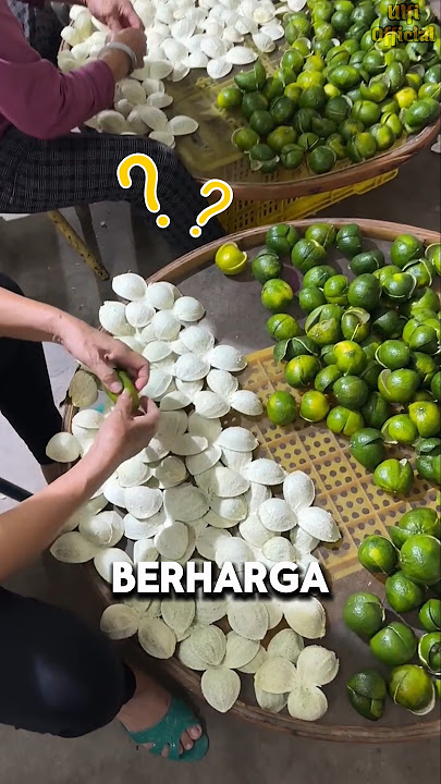 Mengapa Kulit Jeruk Lebih Berharga daripada Isinya? #shorts
