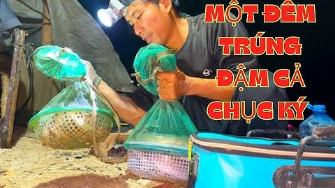 TẬP.149.tiếp tục một đêm trúng đậm cả chục ký cá lóc/ cắm câu đồng campuchia