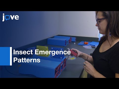 Insect Emergence Patterns
