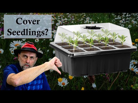 The Humidity Dome Mistake Most Gardeners Make