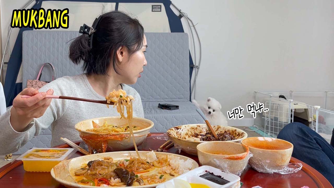이사하고 먹는 짜장면,짬뽕,잡채밥 먹방(ft.인간들아 너네만 입이냐?)Black Bean Noodles and Jjamppong MUKBANG