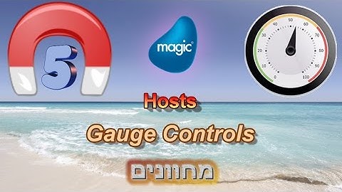 MagNet 5 - Magic XPA 3 hosts Telerik & Devexpress Gauges