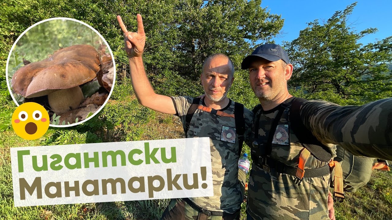 Най-голямото бране на манатарки на Балканите…